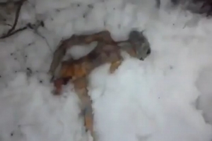 /pliki/zdjecia/ufo 1_0.jpg